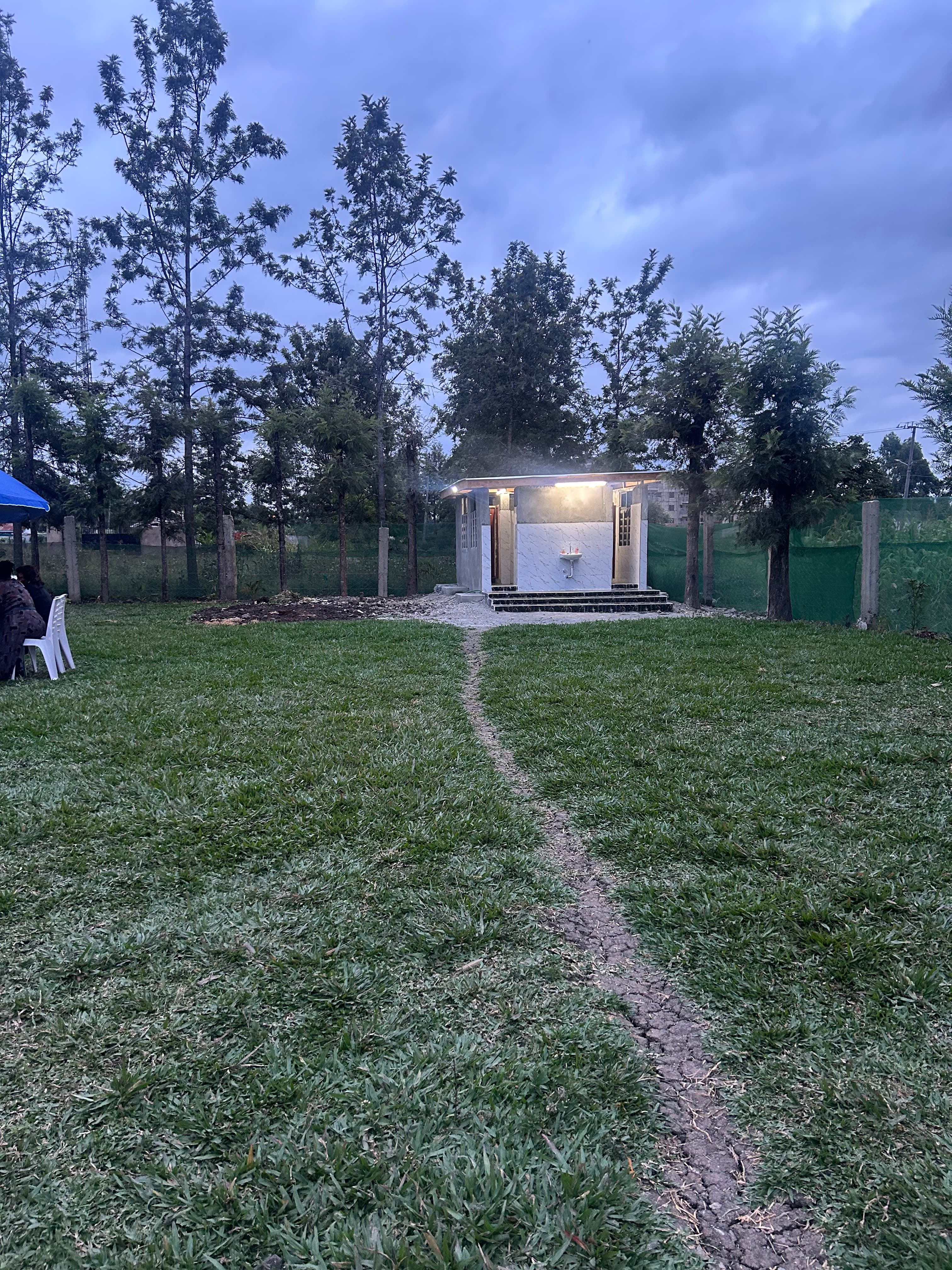 The garden at dusk